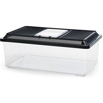 Caja de transporte Nobby Fauna-box baja negra para reptiles