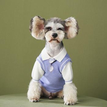 Teddy Dog Sweater