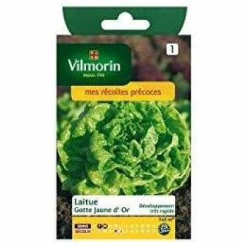 Sachet de Graines de Laitue Gotte Jaune d'Or