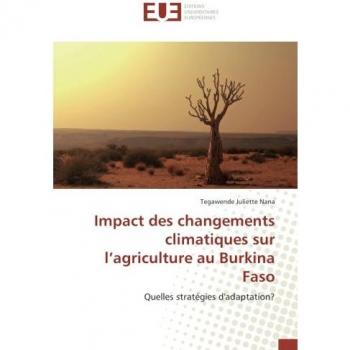 Impact des changements climatiques sur l’agriculture au Burkina Faso: Quelles stratégies d'adaptation?