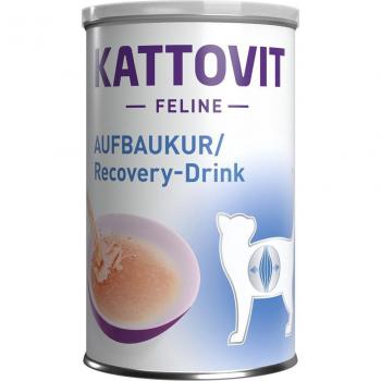 Kattovit Drink di Recupero per Gatti