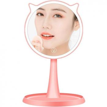 LED Makeup Mirror with Smart Touch Screen and Pet Charging