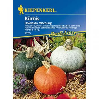 Kiepenkerl Mix Zucca Hokkaido