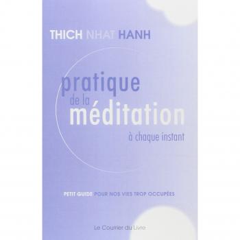 Pratique de la méditation à chaque instant