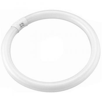 Lampada Neon Fluorescente Risparmio Energetico 22 Watt T9