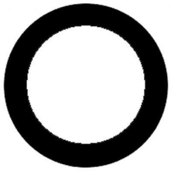 REINZ 71-37134-00 Exhaust Manifold Seal for BMW