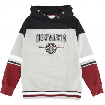 Suéter Hogwarts con Capucha, Versión Infantil, 128-164, Multicolor
