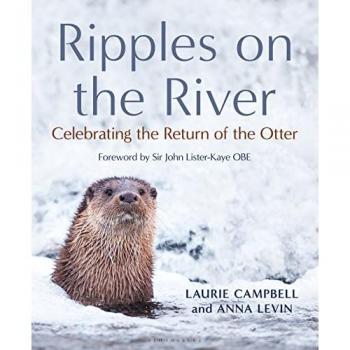 Ripples on the River : Celebrating the Return of the Otter