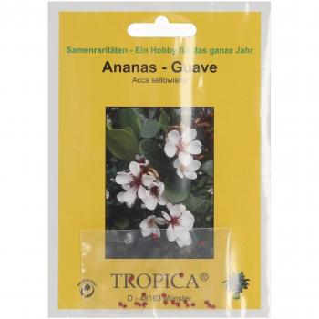 Tropique Ananas-Goyave 2g