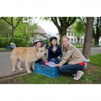Tiere bis unters Dach