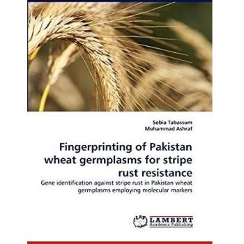 Fingerprinting of Pakistan wheat germplasms for stripe rust resistance: Gene identification against stripe rust in Pakistan wheat germplasms employing molecular markers