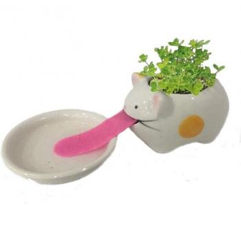 Pot de fleur panda pour bureau avec système d'arrosage