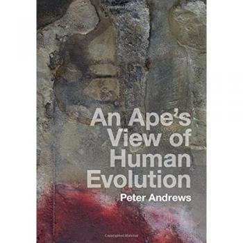 An Ape's View of Human Evolution