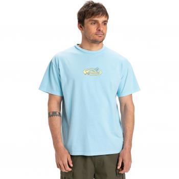 Quiksilver T-Shirt »Nd Nature Magic«
