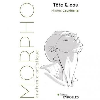 Morpho Tête et cou