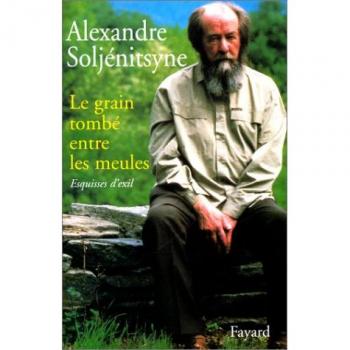 Esquisses d'exil : Tome 1, Le grain tombé entre les meules, 1974-1978