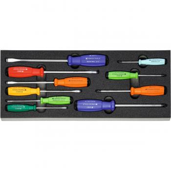 Set Utensili 10 giraviti SwissTools