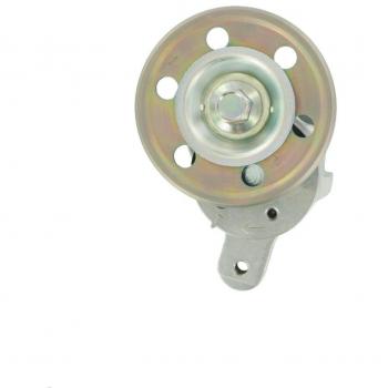 Geleiderpoelie Poly-V riem SKF VKM 61019