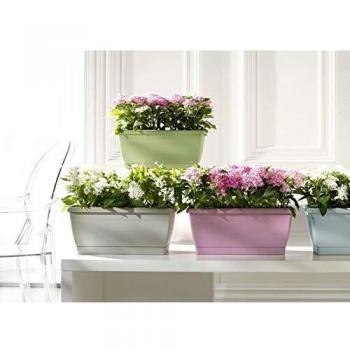 Plateau de Jardin VECA Roxanne 40x20x18 Rose