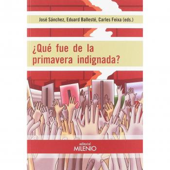 ¿QUÉ FUE DE LA PRIMAVERA INDIGNADA?