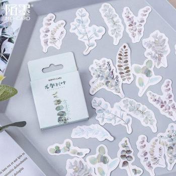 Hojas de Eucalipto Scrapbooking