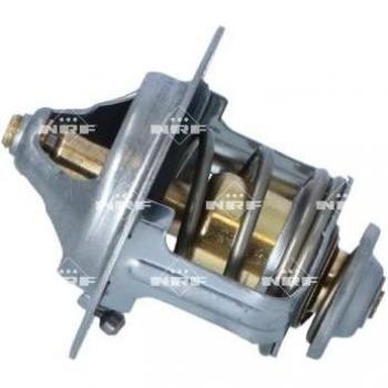 NRF 725167 Coolant Thermostat