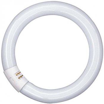 Lampada Fluorescente Circolare 40W G10Q 865