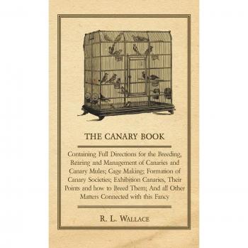 The Canary Book: Containing Full Directions for the Breeding, Rearing and Management of Canaries and Canary Mules;Cage Making; Formation of Canary ... And all Other Matters Connected with thi