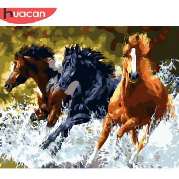 Cuadro al Óleo por Números con Caballo