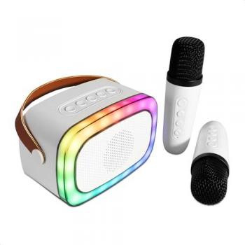 Enceinte Karaoké avec 2 Micros Sans Fil