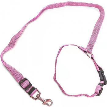 Dual-purpose Dog Hauling Rope