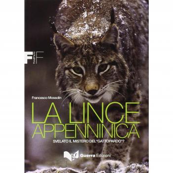 La lince appenninica. Svelato il mistero del «Gattopardo»?