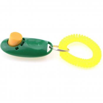 Kit de Suministros Caninos – Gato y Correa