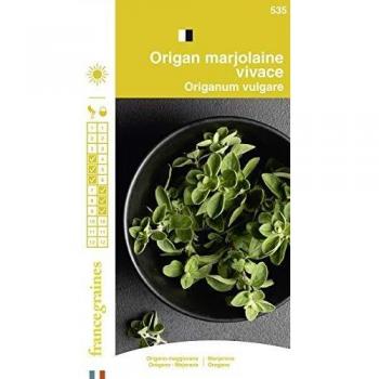 Origan Vivace de France Graines