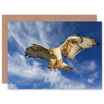 Apex Falcon Adventure Card