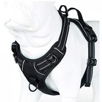 FrontFlex Dog Safety Harness