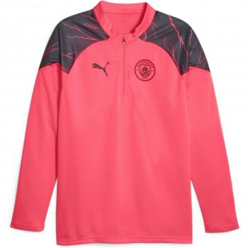 Shorts d'Entraînement Puma Manchester City FC 23 24 1 4 Zippés