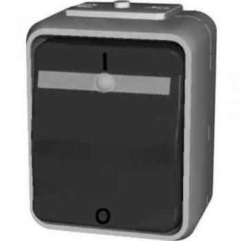 Interruttore illuminato 10A grigio