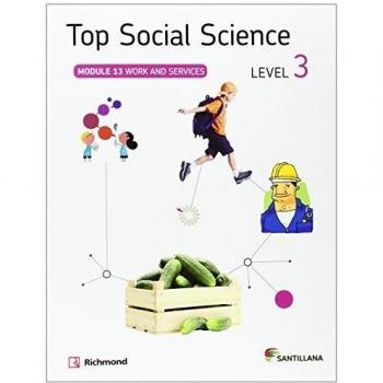 TOP SOCIAL SCIENCE 3 WORK AND SERVICES (Tapa blanda).