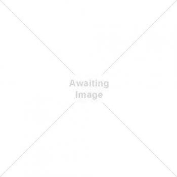 Picardy Round Wire Nail 50mm Bright Finish 10kg