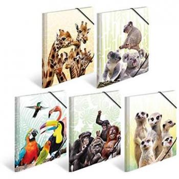 HERMA A4 Dokumentenmappe Exotische Tiere