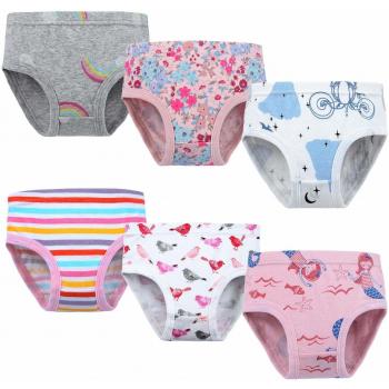 Zebricolo sous-vêtements Enfants Culottes Douces en Coton de la Série pour Enfants de Culottes Assorties des Petites Filles (Paquet de 6), Multicolor, Taille 7Y