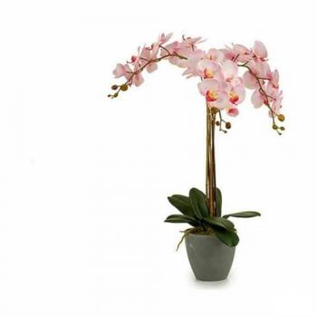 Orchidea da Soggiorno Ibergarden 60x78x44 cm