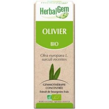 Essência de Oliveira 15 ml