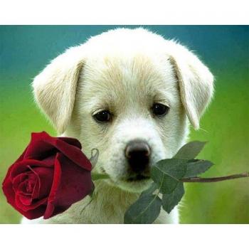 Rosa Hund in Diamanten: DIY Kreuzstich 20 x30 cm Vollrunde