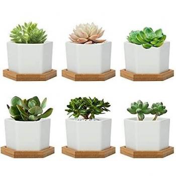 Warmplus 7CM Small Flower Pots Set of 6