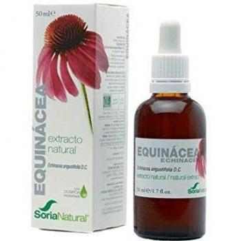 Natural Echinacea Glycerite 50ml