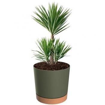Vase botanique vert mat, 40 cm de diamètre, 38 cm de haut