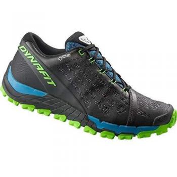 Chaussures Trail Dynafit Evo – Grise – Homme – EU 46 / UK 11 – Gore‑Tex