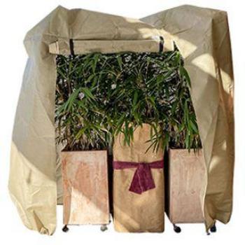Housse de Protection contre le Gel pour Plantes Roll-Up XL, 250 x 200 x 100 cm